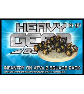 Northern Infantry on ATVs 2 Squads Pack